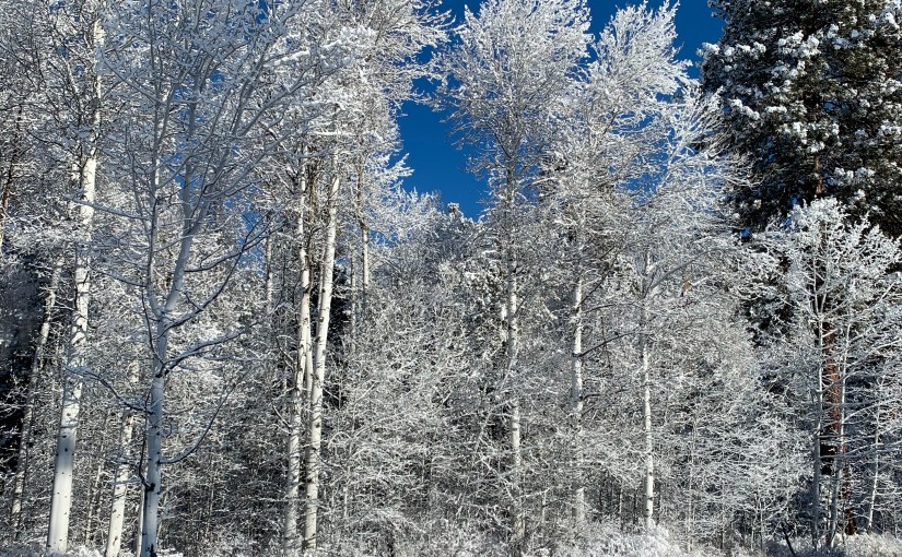 If I Could Do It&nbsp;Over…